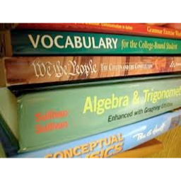 Personal Tutoring at Home (per hour)